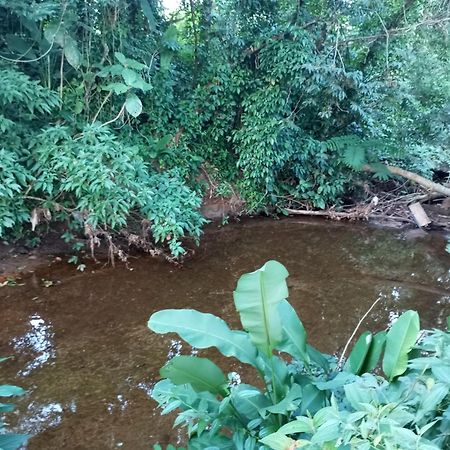 Pousada 5 Cachoeiras Ubatuba Eksteriør billede