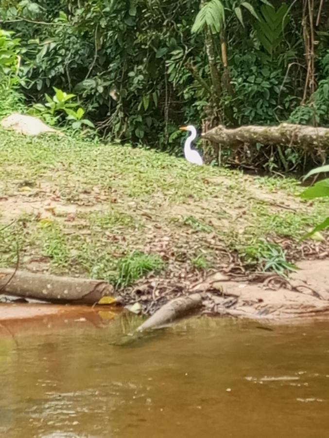 Pousada 5 Cachoeiras Ubatuba Eksteriør billede